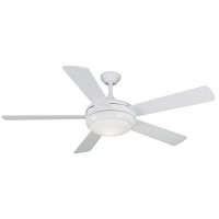 Litex E-TIT52WW5LKRC Titan Collection 52-Inch Ceiling Fan with Remote Control  Five Reversible White/Whitewash Blades and Single Light Kit with Opal Glass - B008OP0VFC